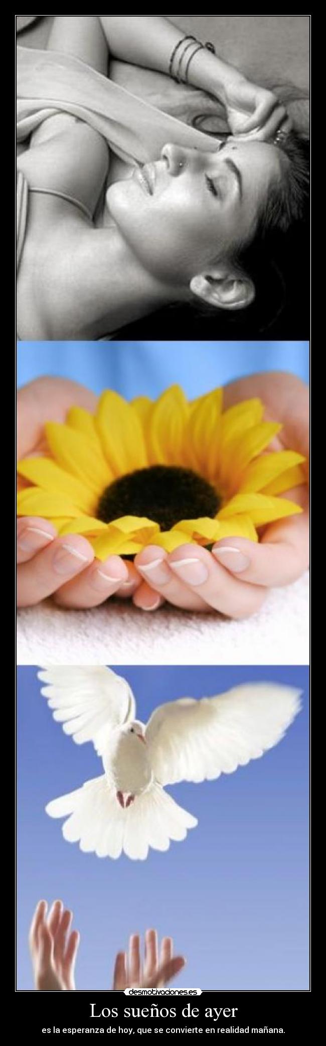 Los sueños de ayer - es la esperanza de hoy, que se convierte en realidad mañana.