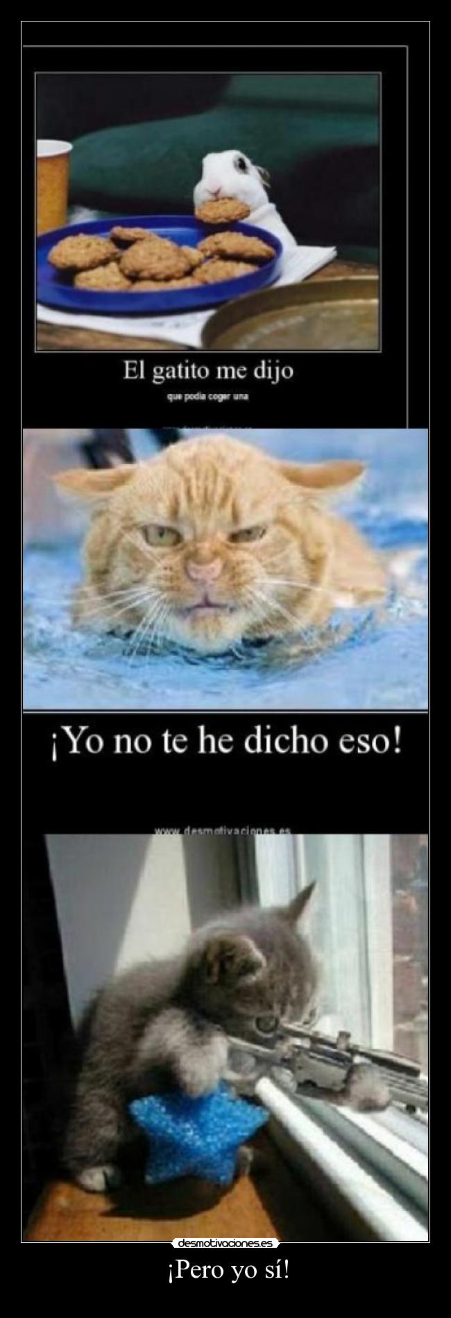 carteles gatito desmotivaciones