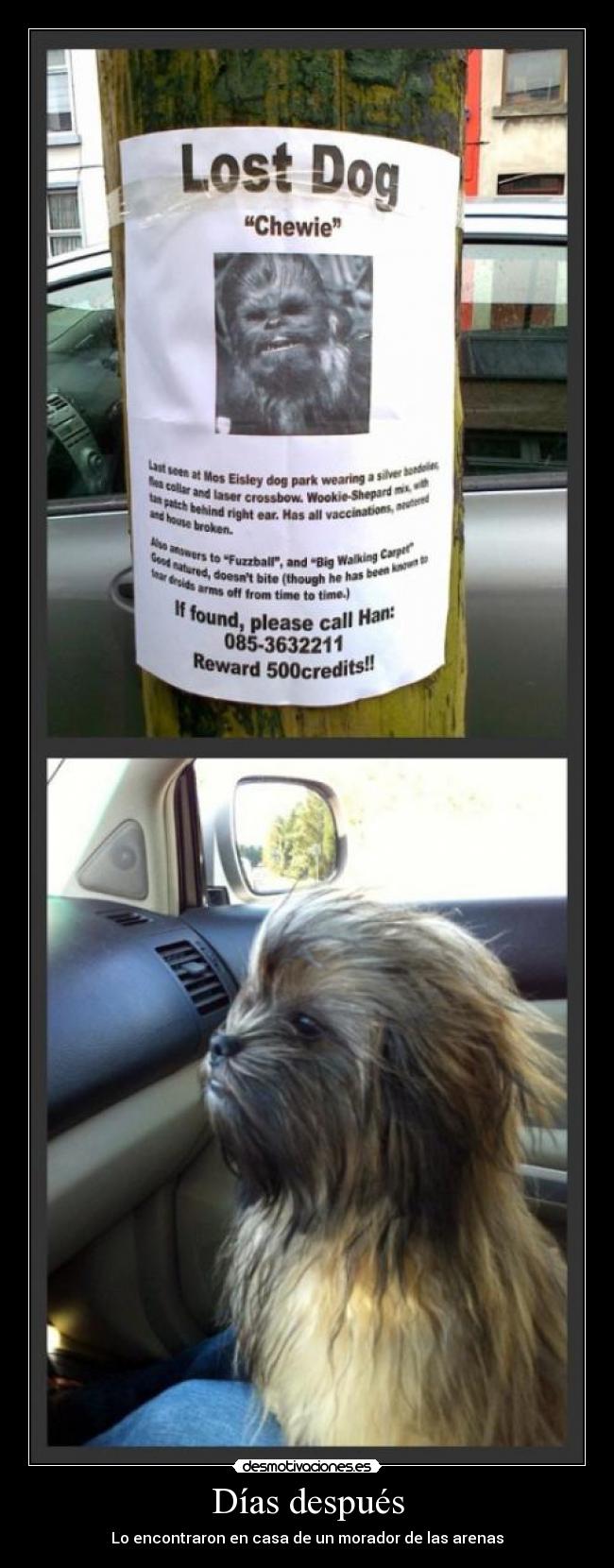 Días después - Lo encontraron en casa de un morador de las arenas