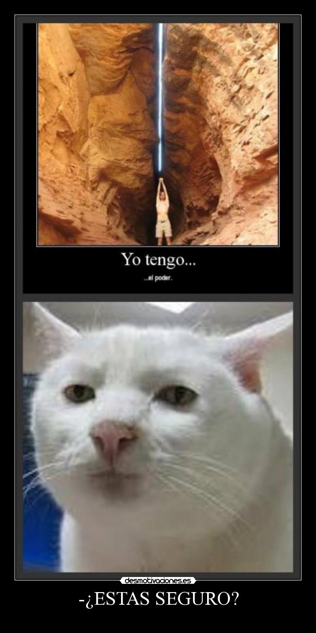 -¿ESTAS SEGURO? -