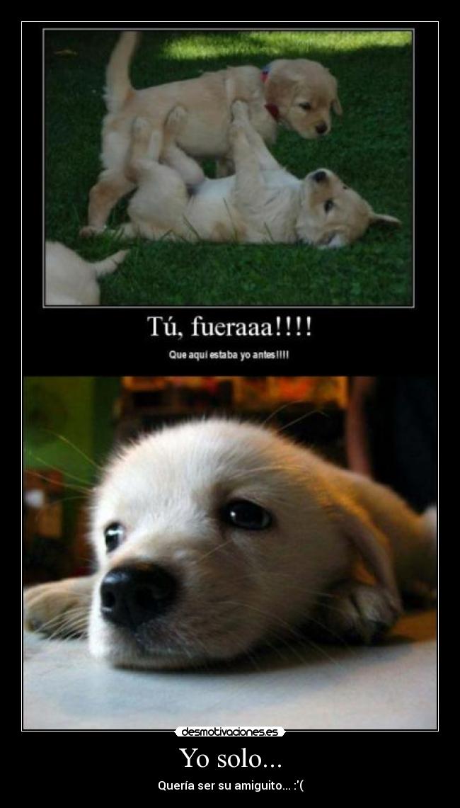 Yo solo... -