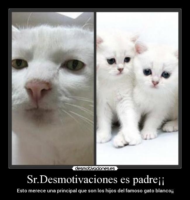 Sr.Desmotivaciones es padre¡¡ -