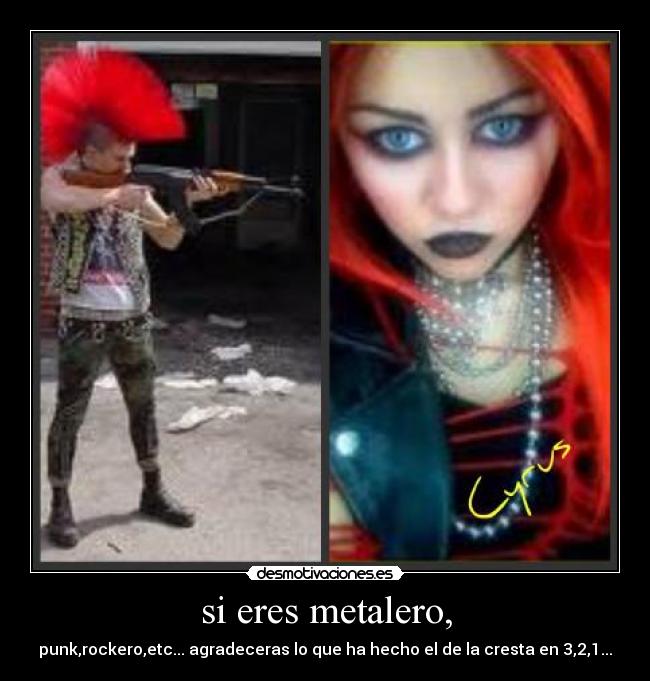 carteles punk rock metalero tockero cresta miley desmotivaciones