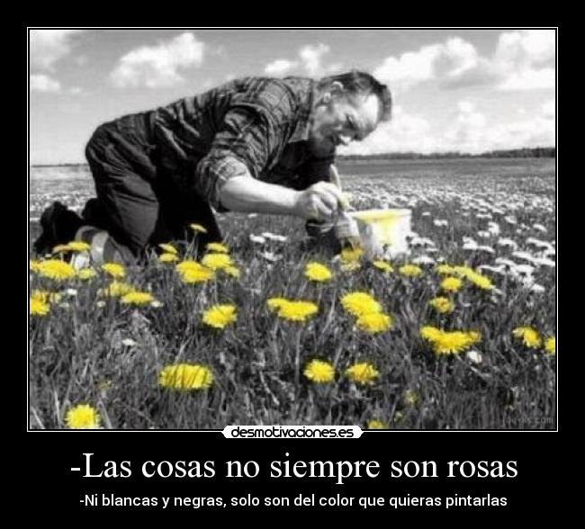 -Las cosas no siempre son rosas - -Ni blancas y negras, solo son del color que quieras pintarlas