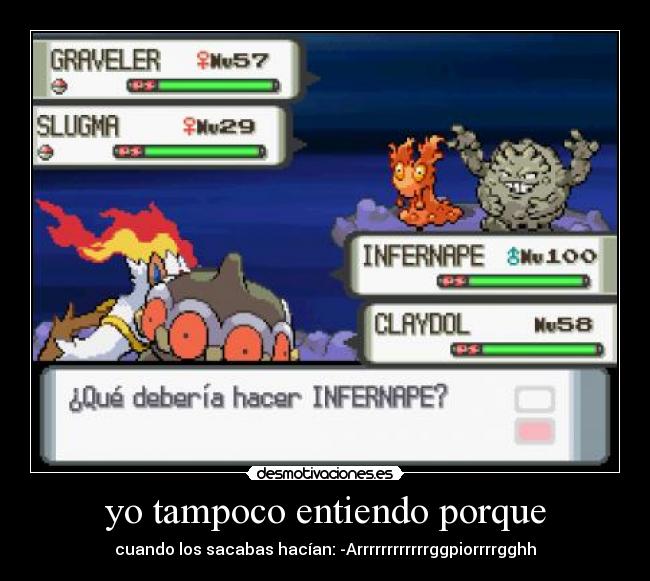 yo tampoco entiendo porque - 