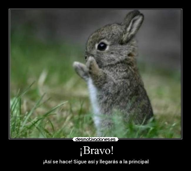 ¡Bravo! -