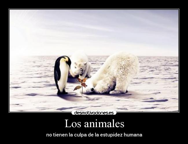 Los animales - 