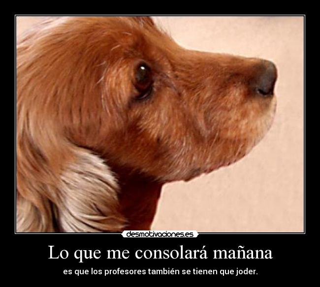Lo que me consolará mañana - 