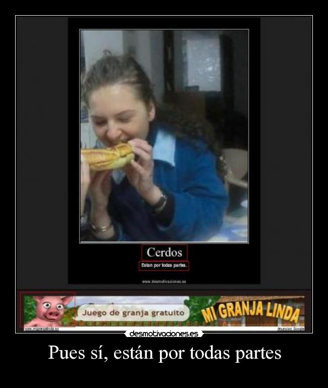 Pues sí, están por todas partes -