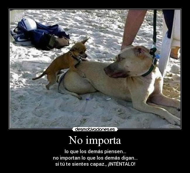 No importa - 