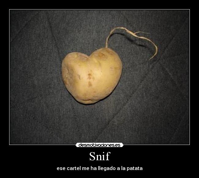 carteles snif desmotivaciones