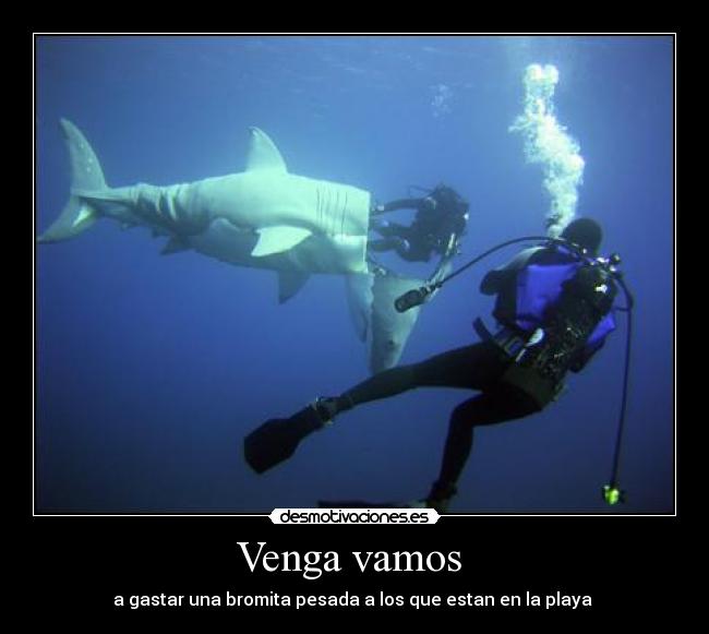 Venga vamos - a gastar una bromita pesada a los que estan en la playa