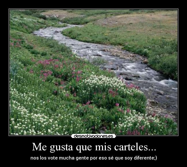 Me gusta que mis carteles... - 