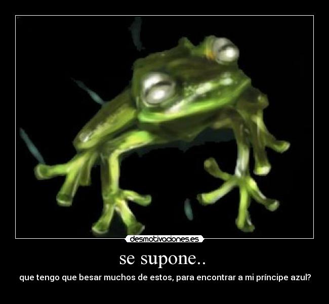 se supone.. -