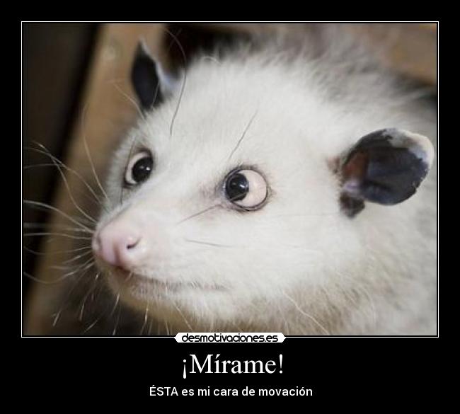 ¡Mírame! - ÉSTA es mi cara de movación