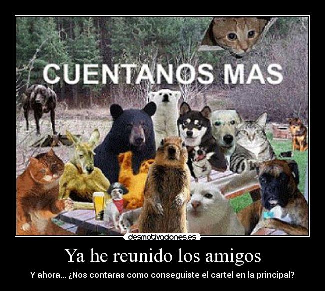 Ya he reunido los amigos - 