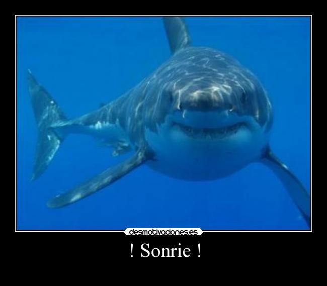 ! Sonrie ! -