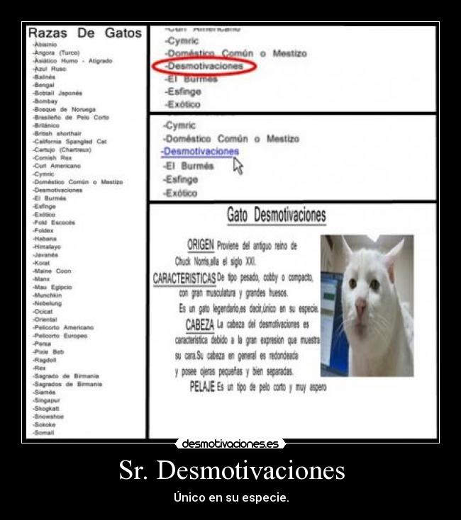 Sr. Desmotivaciones - Único en su especie.