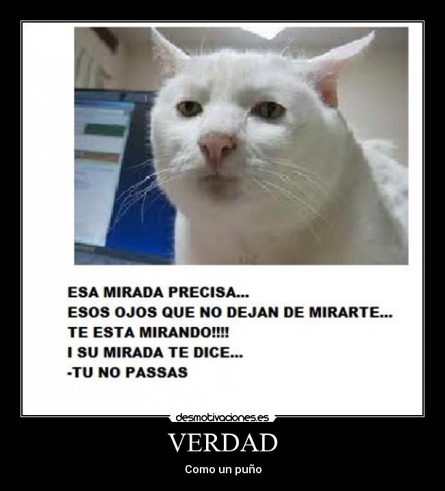 VERDAD - Como un puño