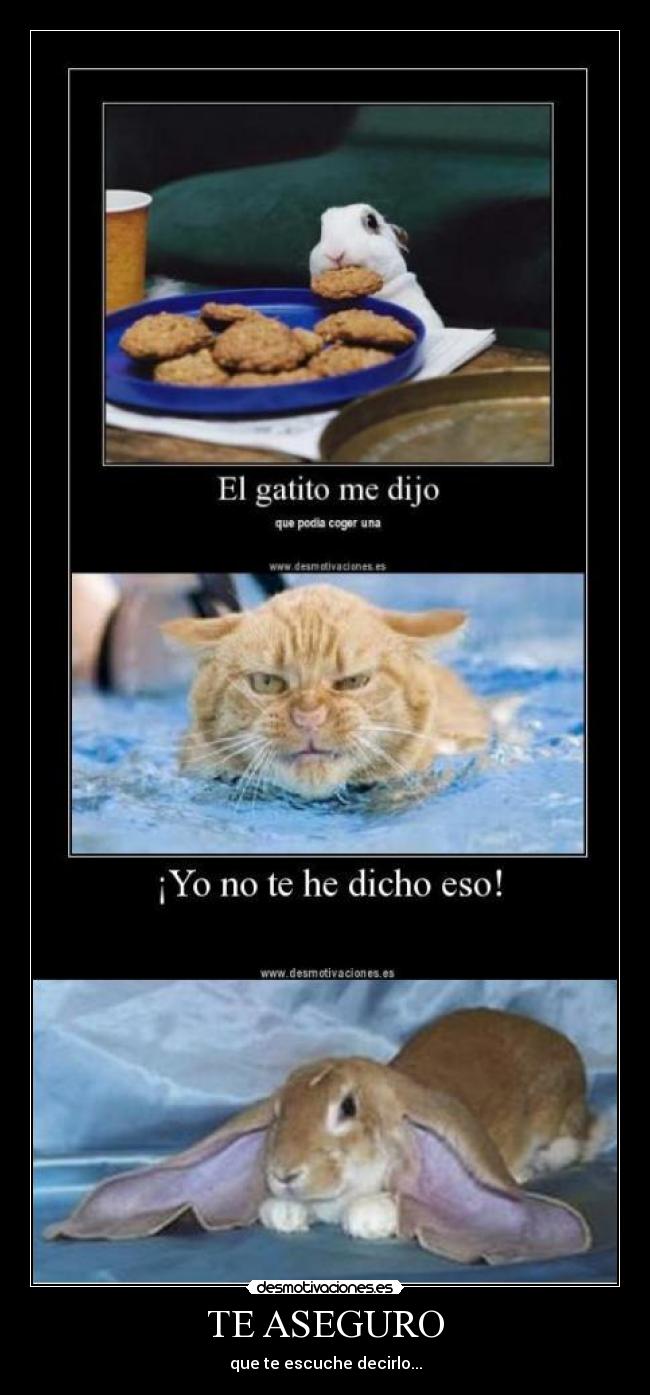 TE ASEGURO - que te escuche decirlo...
