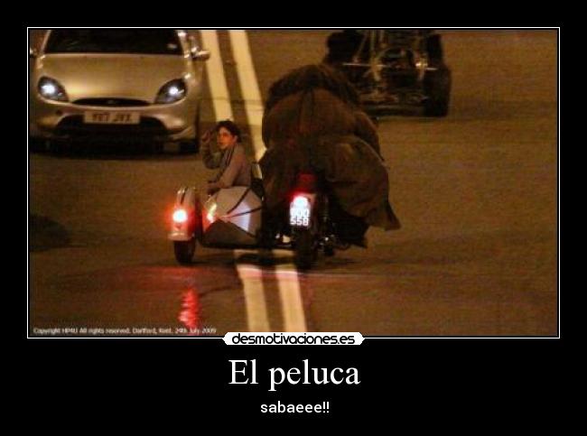 carteles ss desmotivaciones