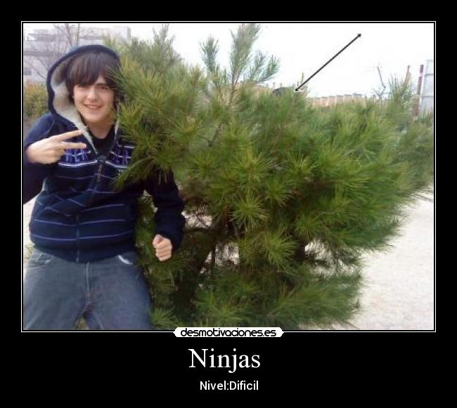 Ninjas - Nivel:Dificil