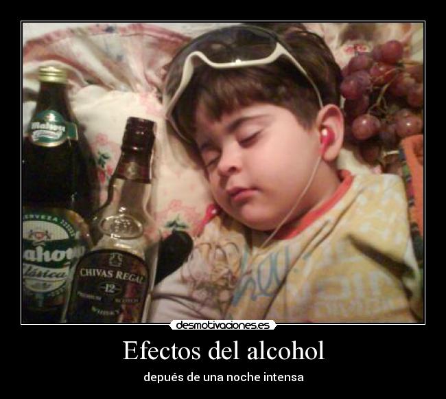 Efectos del alcohol - depués de una noche intensa