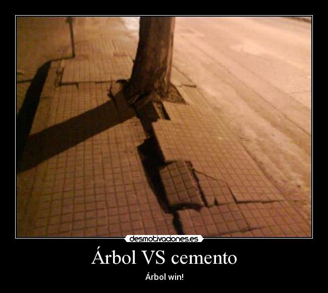 Árbol VS cemento -