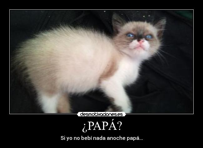 carteles mentiras desmotivaciones