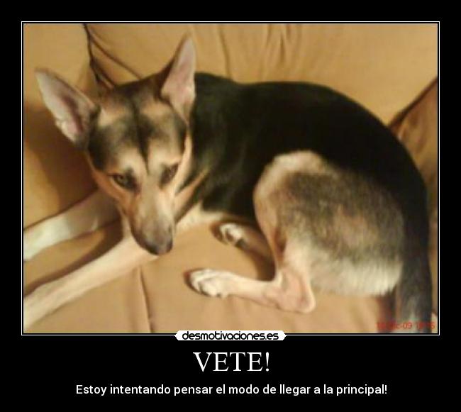 VETE! -