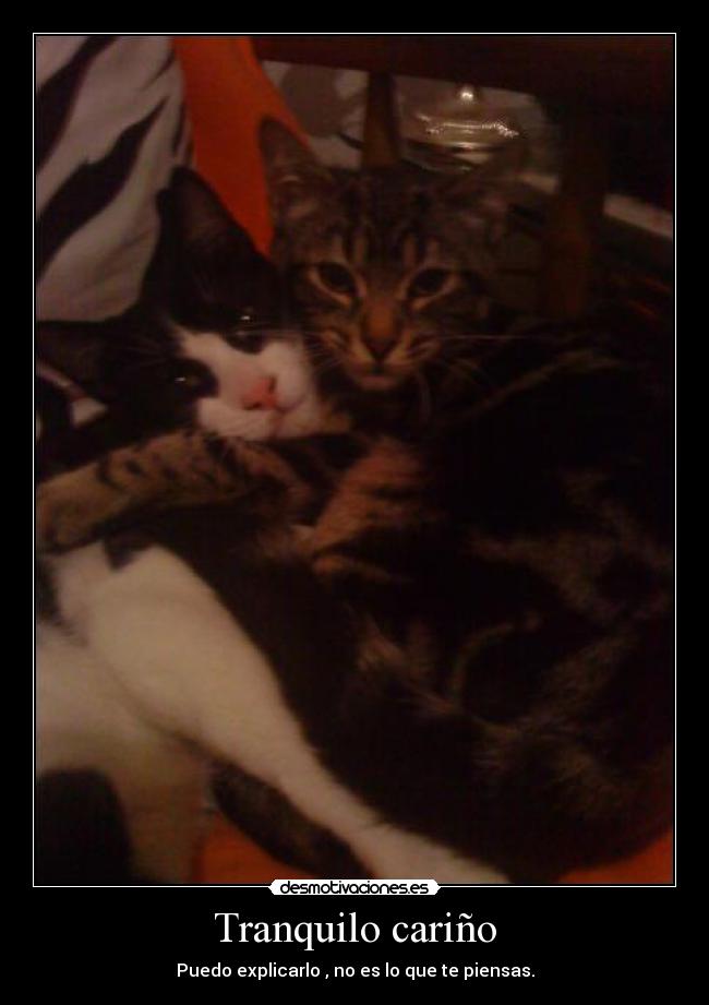 Tranquilo cariño -