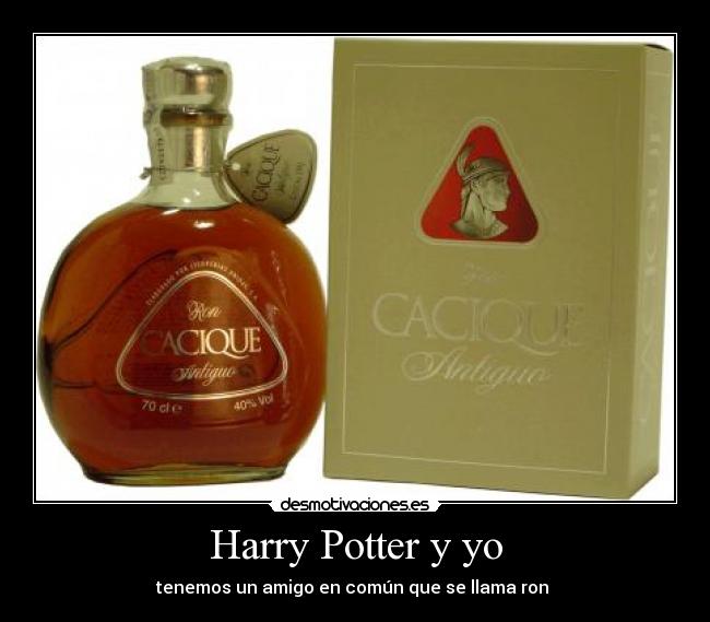 Harry Potter y yo - 