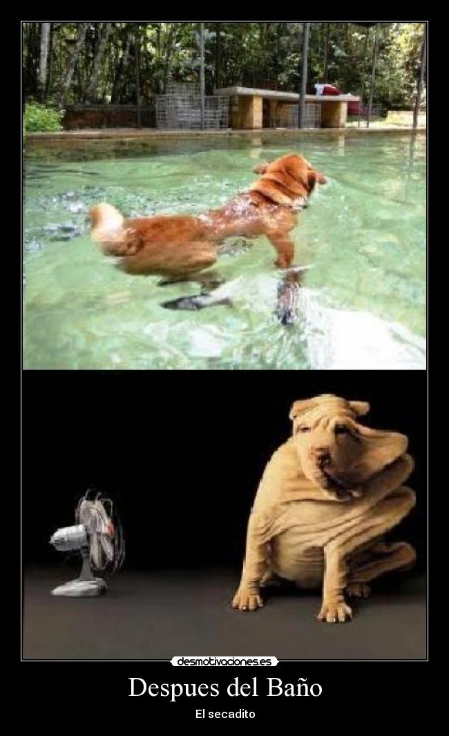 Despues del Baño - El secadito