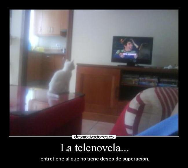 La telenovela... - 