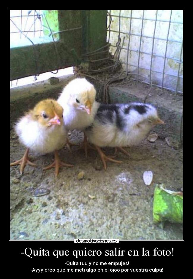 -Quita que quiero salir en la foto! -