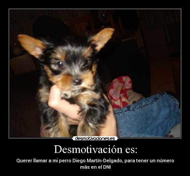 carteles desmotivaciones