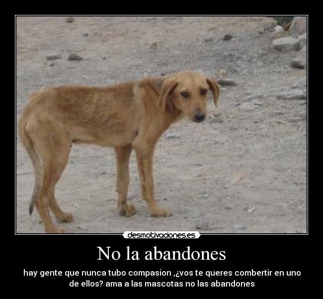 No la abandones -