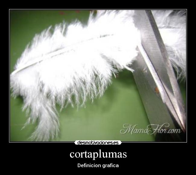 cortaplumas -