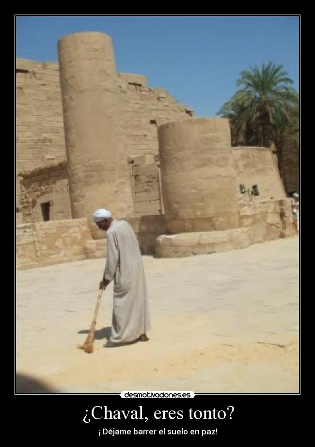 carteles tonto dejame desmotivaciones