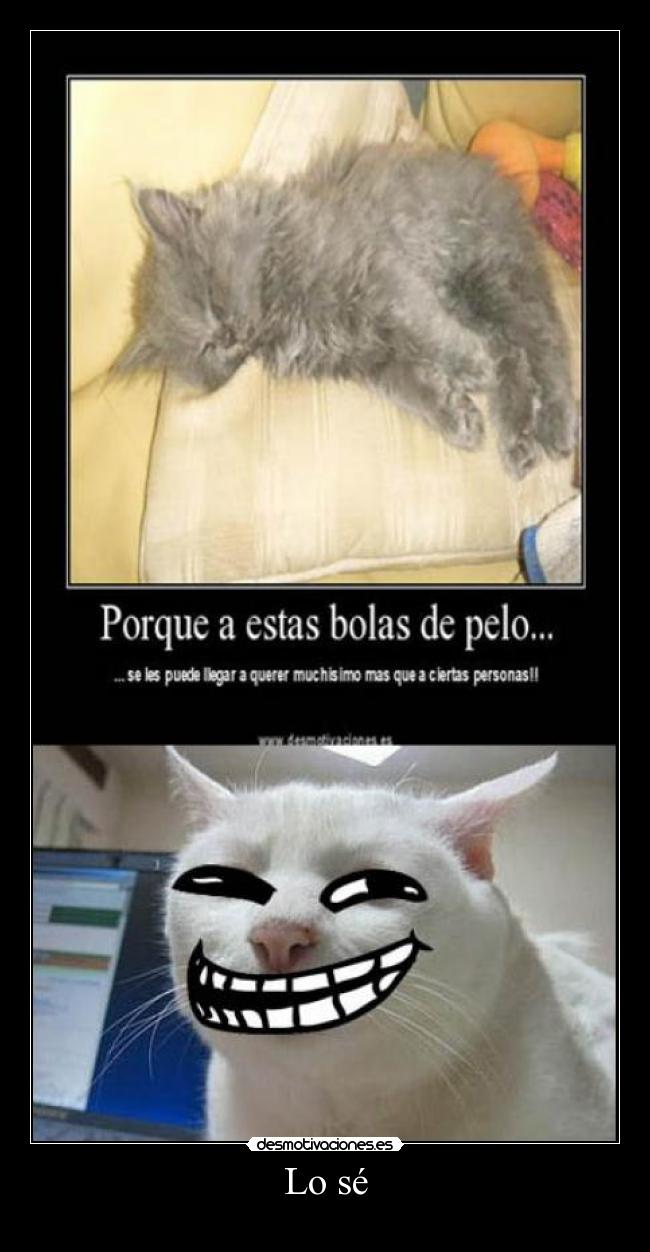 carteles walt troll face desmotivaciones