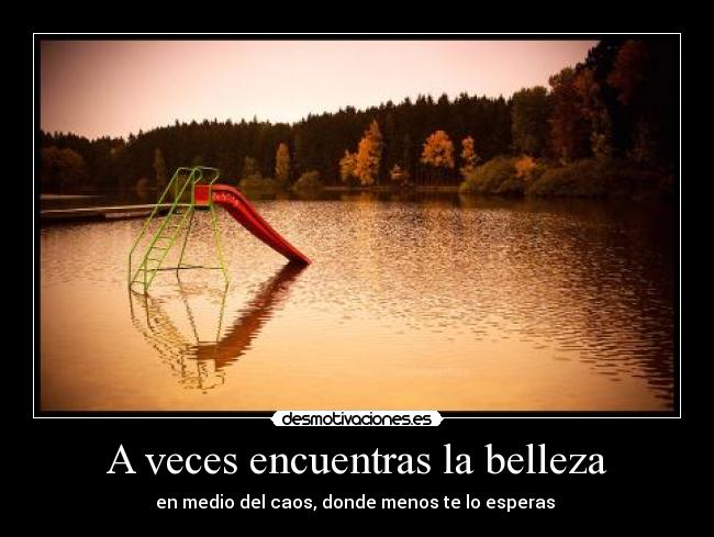 A veces encuentras la belleza - 