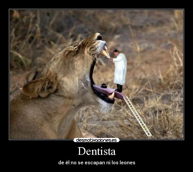 Dentista - de él no se escapan ni los leones