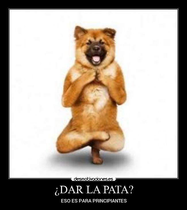 ¿DAR LA PATA? -