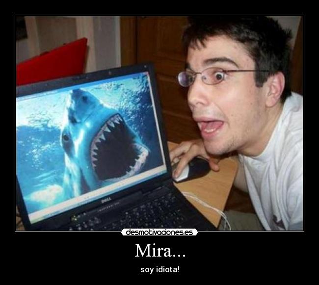 Mira... - soy idiota!