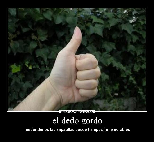 el dedo gordo - 