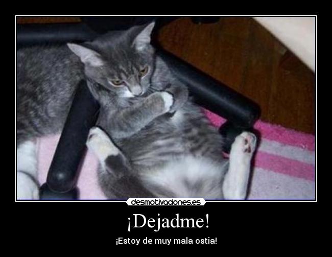 ¡Dejadme! -