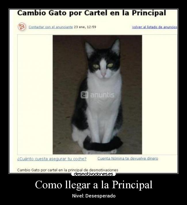 Como llegar a la Principal - 