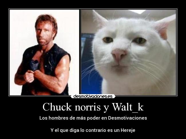 Chuck norris y Walt_k -