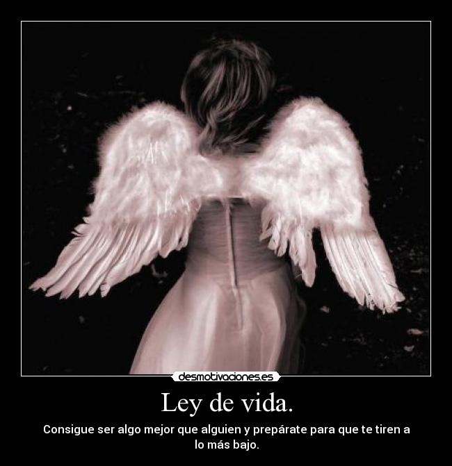 Ley de vida. - Consigue ser algo mejor que alguien y prepárate para que te tiren a lo más bajo.
