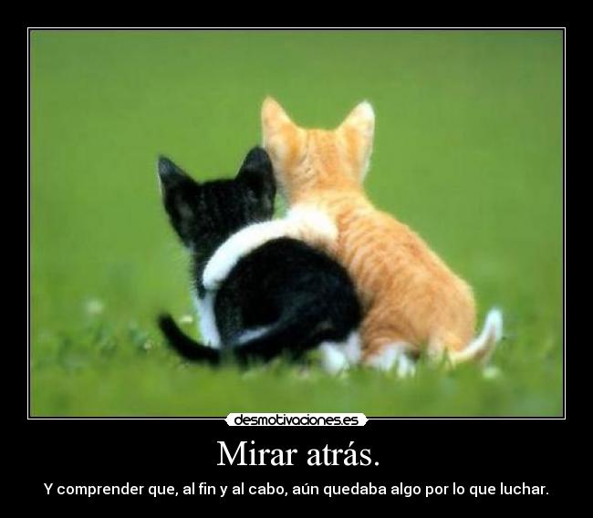 Mirar atrás. - Y comprender que, al fin y al cabo, aún quedaba algo por lo que luchar.